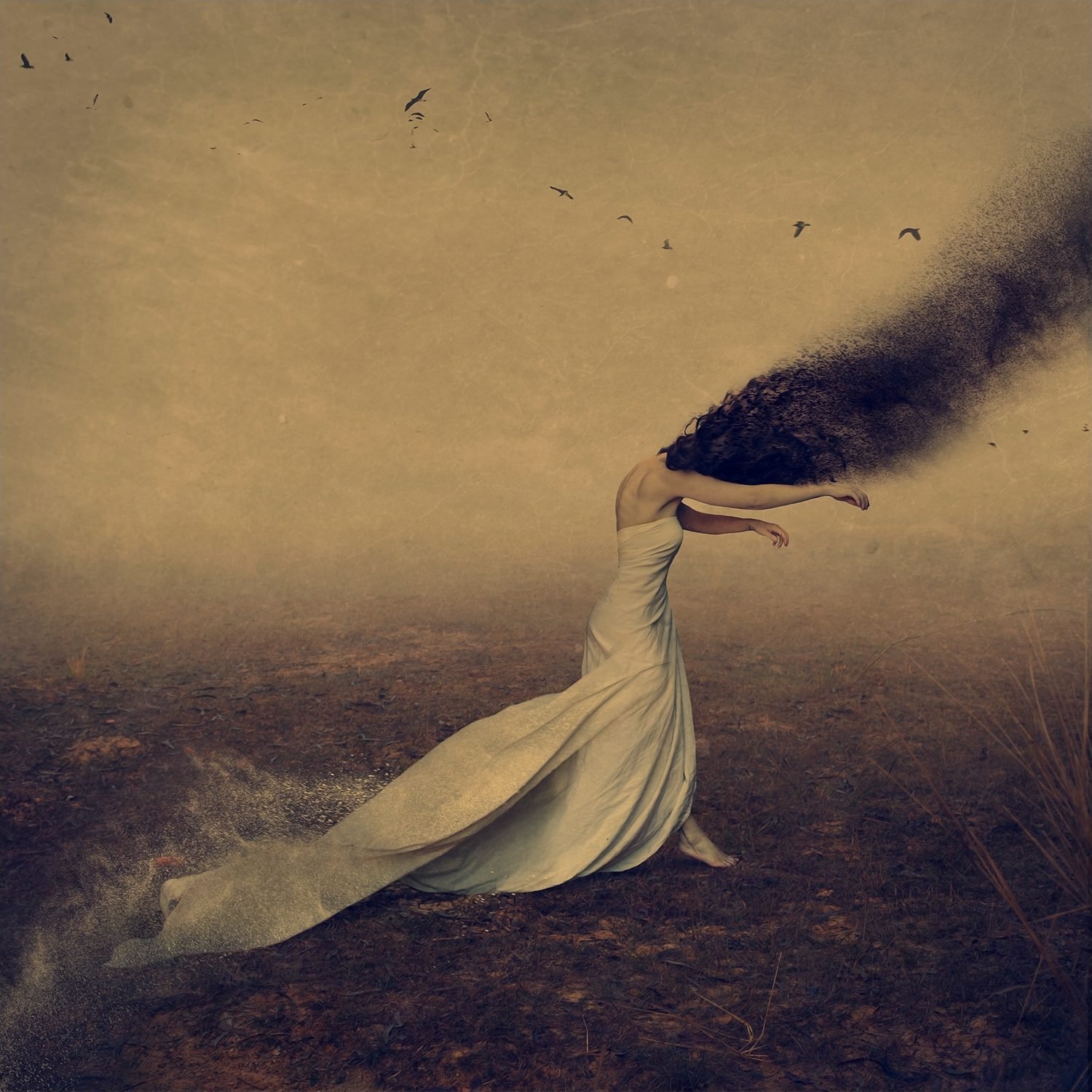 The Shadows We Follow by Brooke Shaden