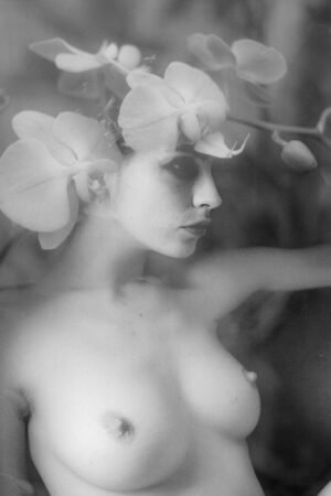 La Muse by Clara Diebler